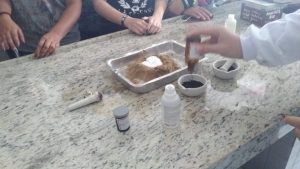 foto-4