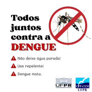 dengue-combate-a-dengue-detalhes-vermelhos